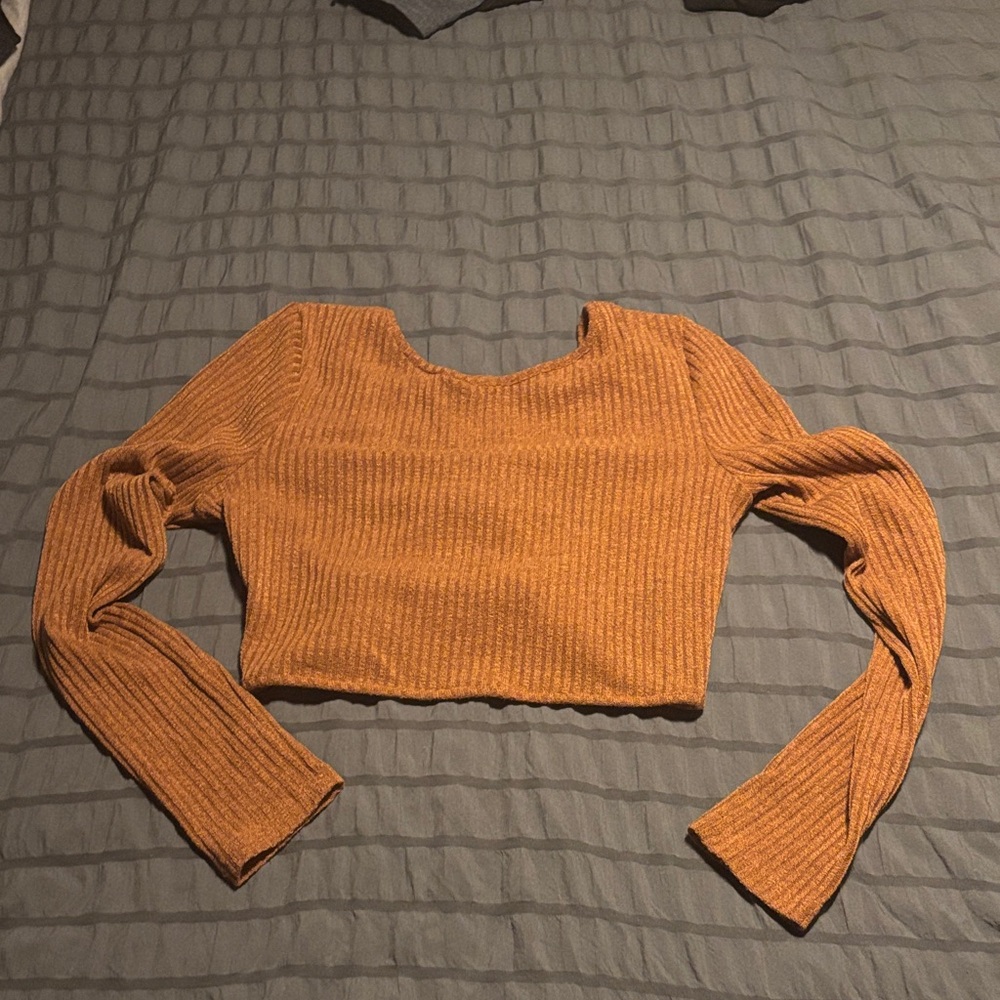 Ribbed Long Sleeve Crop Top in Rust backless